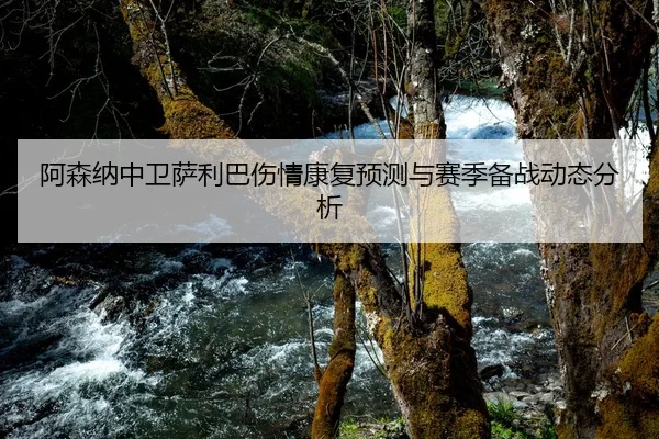 阿森纳中卫萨利巴伤情康复预测与赛季备战动态分析